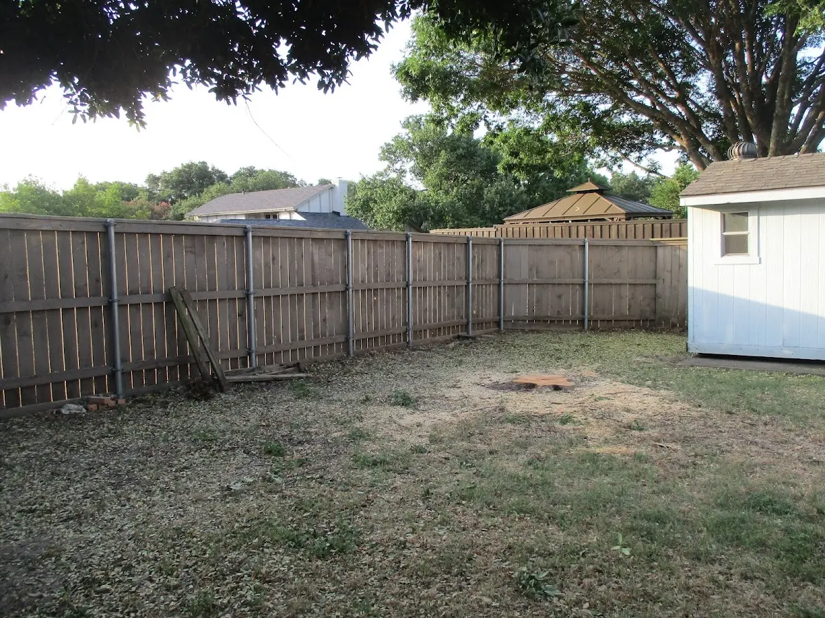 Cleared yard after professional tree removal in Mauckport